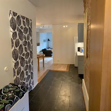 Apartament Centrumlagenhet Med Egen Bastu Maarianhamina