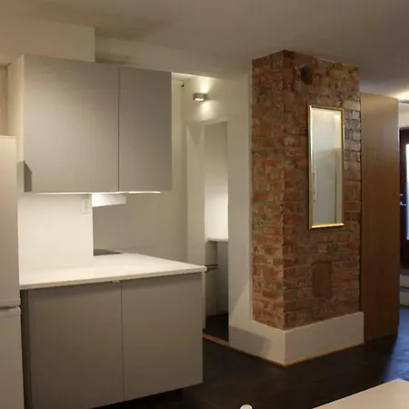 Centrumlagenhet Med Egen Bastu Apartament Maarianhamina